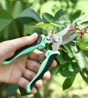 Stainless Steel Garden , Tree cutter Scissor